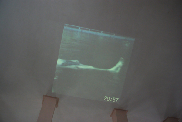loyko artzebs contemporary odessa